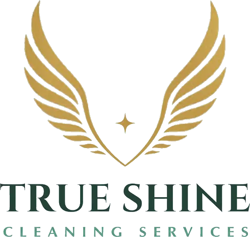 True Shine Cleaning Services — gold wings logo